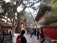 2010 China Holiday