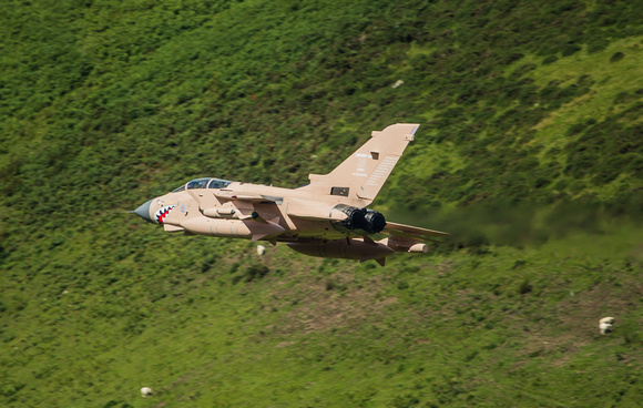 RAF Tornado GR.4 ZG750 'Pinky'